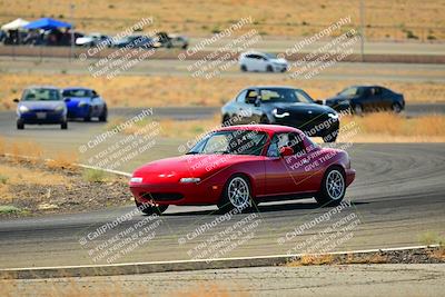 media/Sep-08-2024-VIP Trackdays (Sun) [[e20bd699b9]]/C Group/Session 2-Turns 4 and 6/